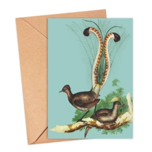 Ikonink Lyrebird Card