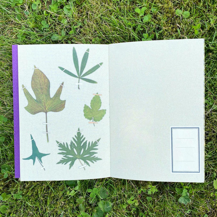 Alibabette Editions Illustrated Journal - Au jardin In the garden