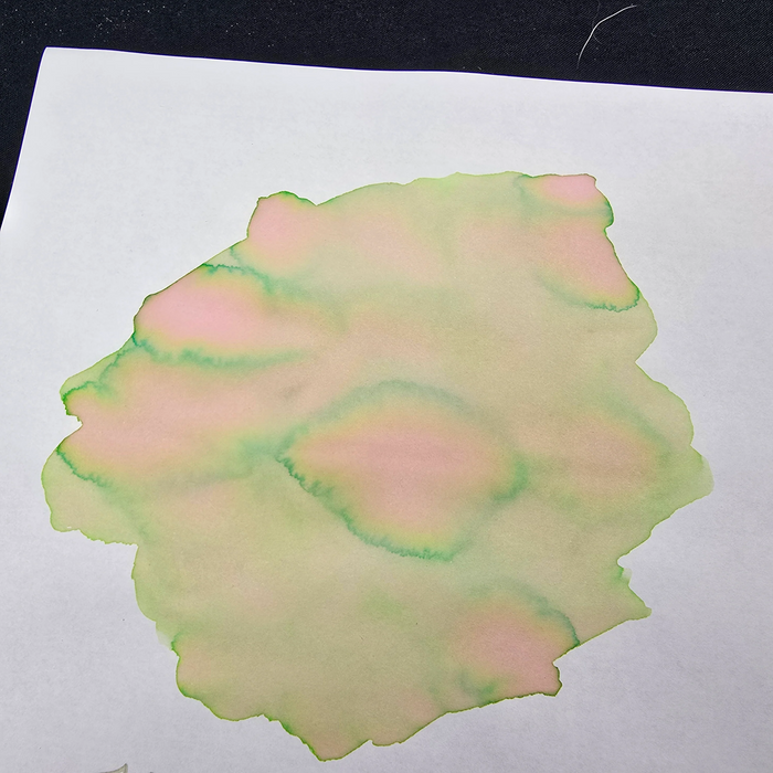 Van Dieman's Professional - Natura Dualis Harvest Tide Dual Tone Fountain Pen Ink - 2ml Ink Sample