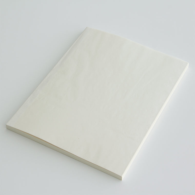 Midori MD Notebook A4 Variant - Blank