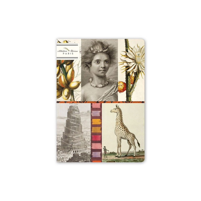 Alibabette Editions A5 Journal - Terra Incognita