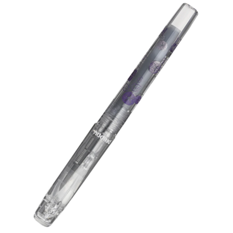 Platinum Preppy Wa 2nd Edition Modern Maki-e Fountain Pen Asagao