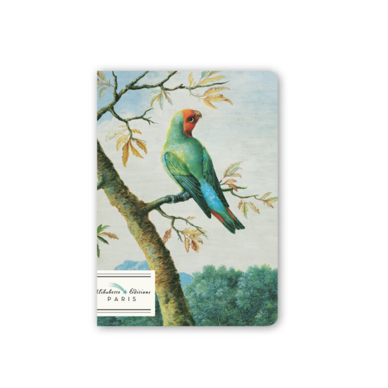 Alibabette Editions A6 Journal - Tropiques