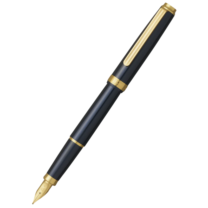 Platinum Biso Nebula Black Fountain Pen