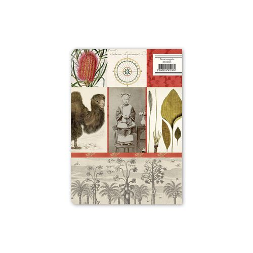 Alibabette Editions A5 Journal - Terra Incognita
