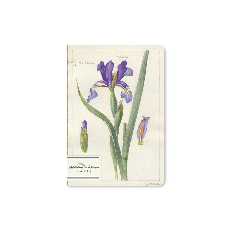 Alibabette Editions A6 Journal - Petit Iris