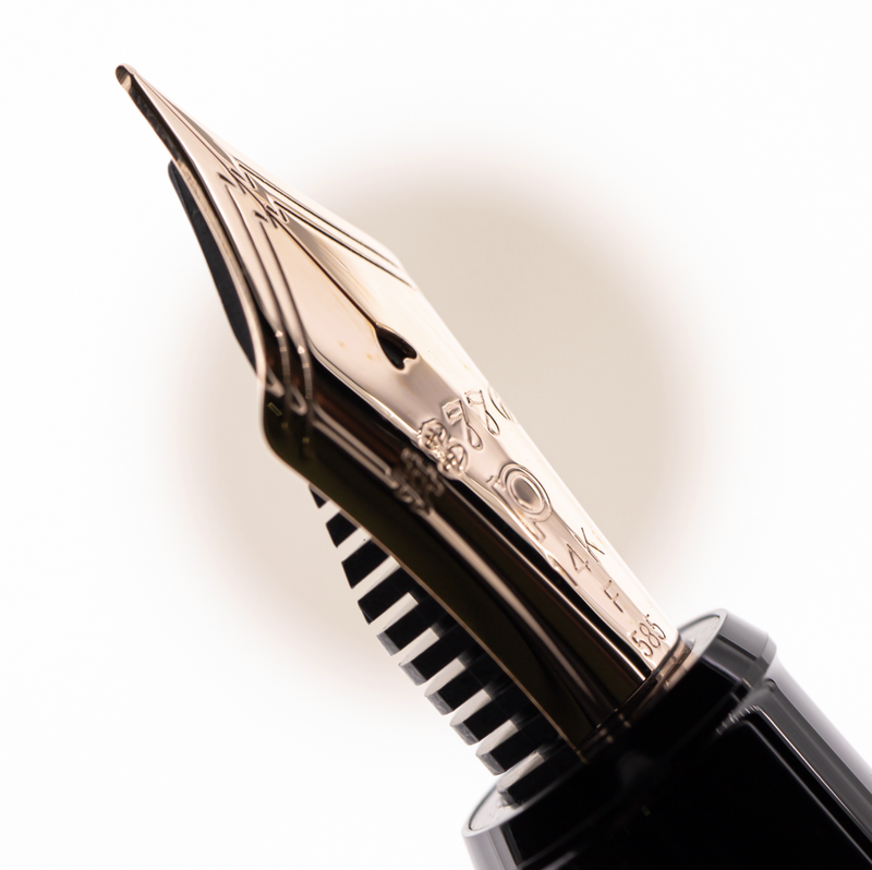 Platinum #3776 Century Fountain Pen - Misty Bloom
