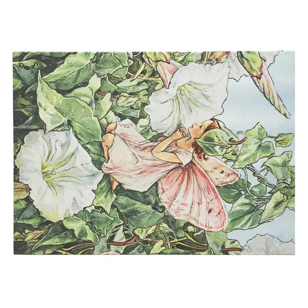 Paperblanks Flower Fairies, Bindweed Fairy Document Folder