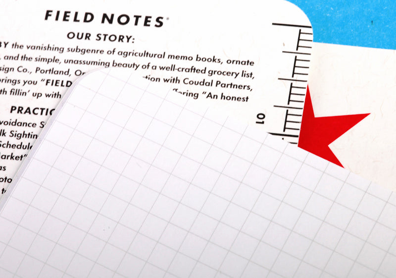 Field Notes Chicago Notebooks (Set 3)