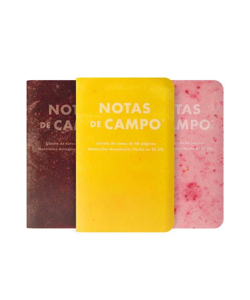Field Notes Paletas Notebooks (Set 3) -  Pack B