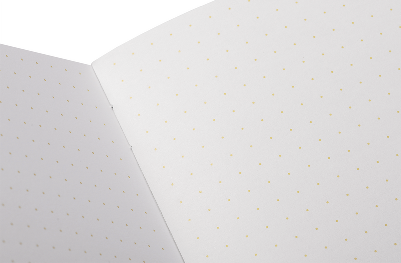 Field Notes Paletas Notebooks (Set 3) -  Pack A