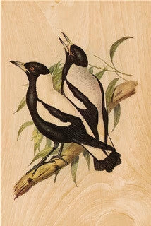 Ikonink Magpie Postcard