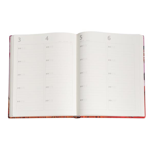 Paperblanks 5-Year Snapshot Tracy Walker's Animal Friends - Mother Robin Ultra Notebook