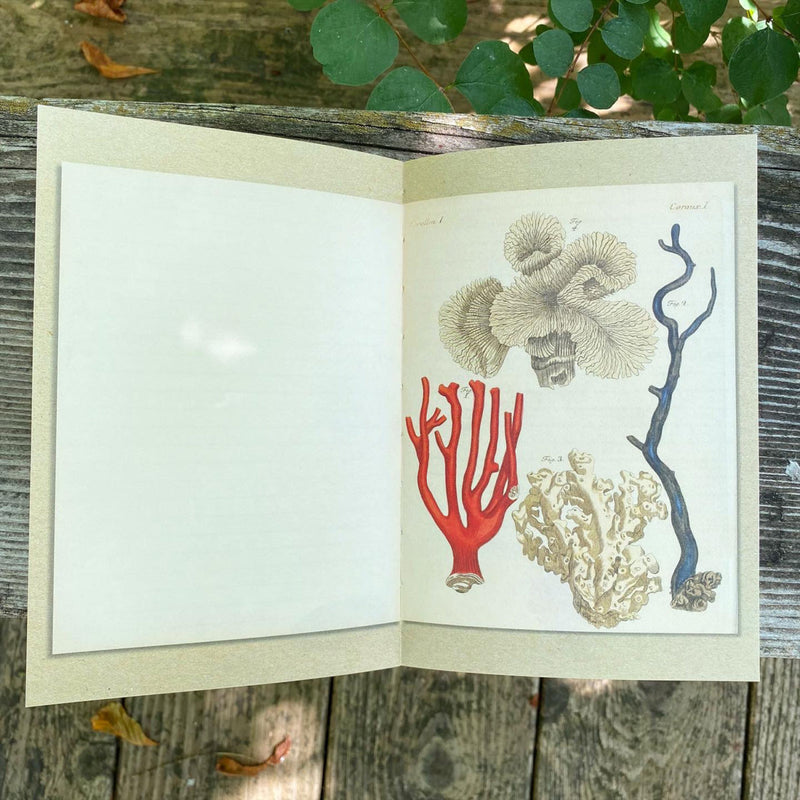 Alibabette Editions Illustrated Journal - A la mer At the Sea