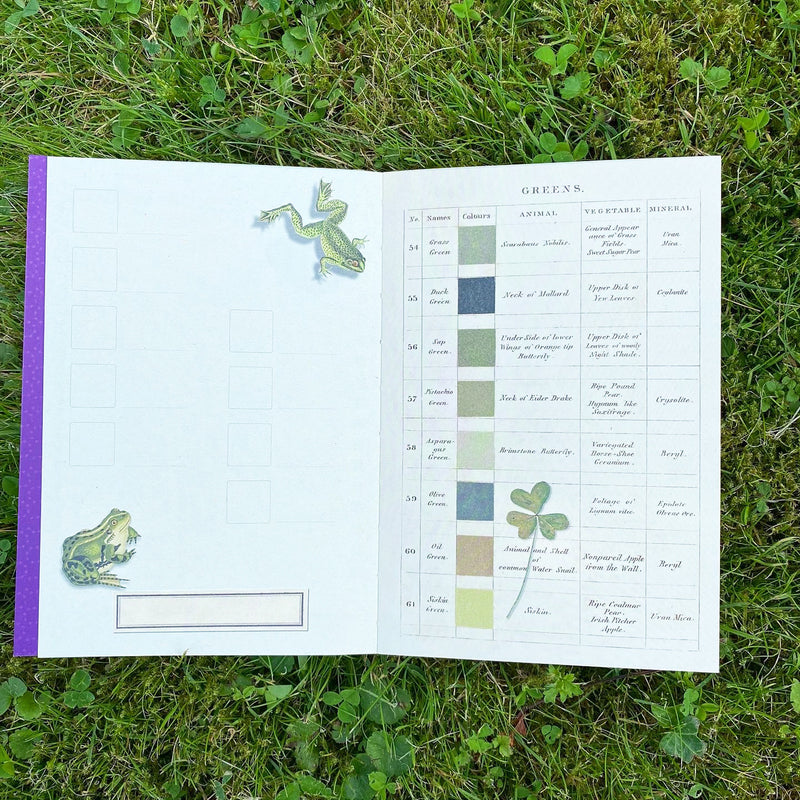 Alibabette Editions Illustrated Journal - Au jardin In the garden