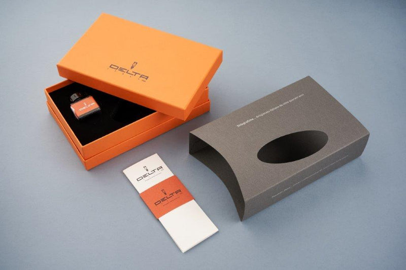 Delta DV 2.0 Premiere Fountain Pen - Palladium Trim