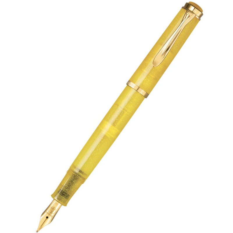 Pelikan M200 Special Edition Fountain Pen & Ink Gift Set - Pyrite