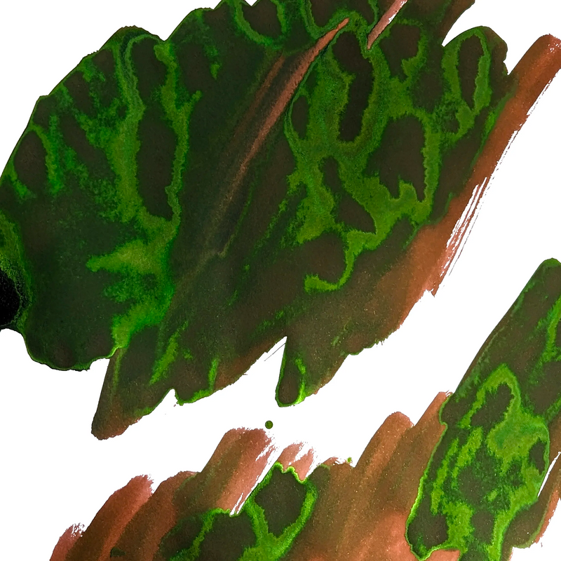 Van Dieman's Voyagers - Heemskerck and Zeehaen - Fountain Pen Ink 30ml