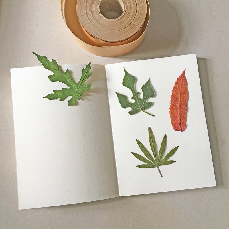Alibabette Editions B6 Pocket Sketchbook - Matisse Asie