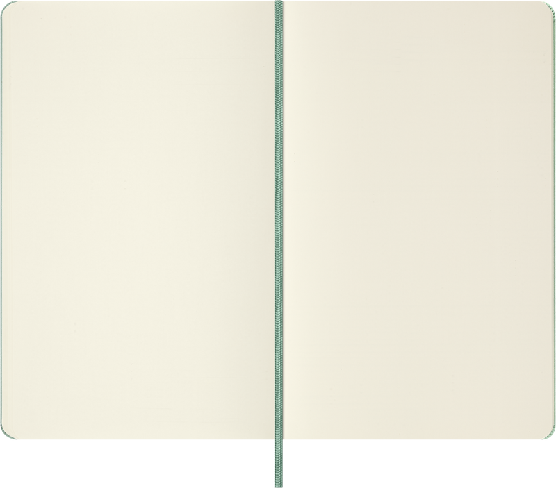 Moleskine Classic Large (A5) Hardcover Notebook - Sage Green