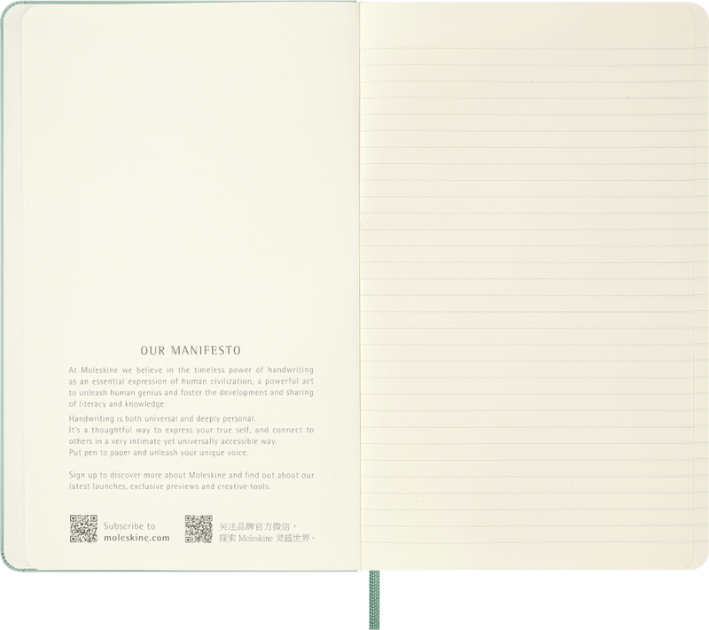 Moleskine Classic Large (A5) Hardcover Notebook - Sage Green