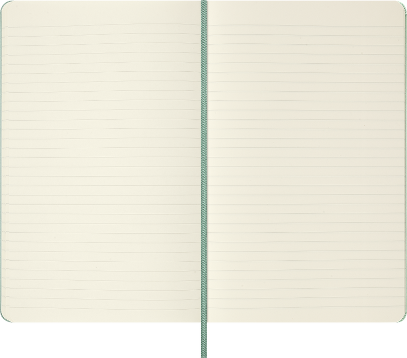 Moleskine Classic Large (A5) Hardcover Notebook - Sage Green