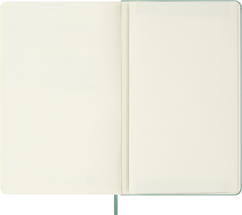 Moleskine Classic Large (A5) Hardcover Notebook - Sage Green