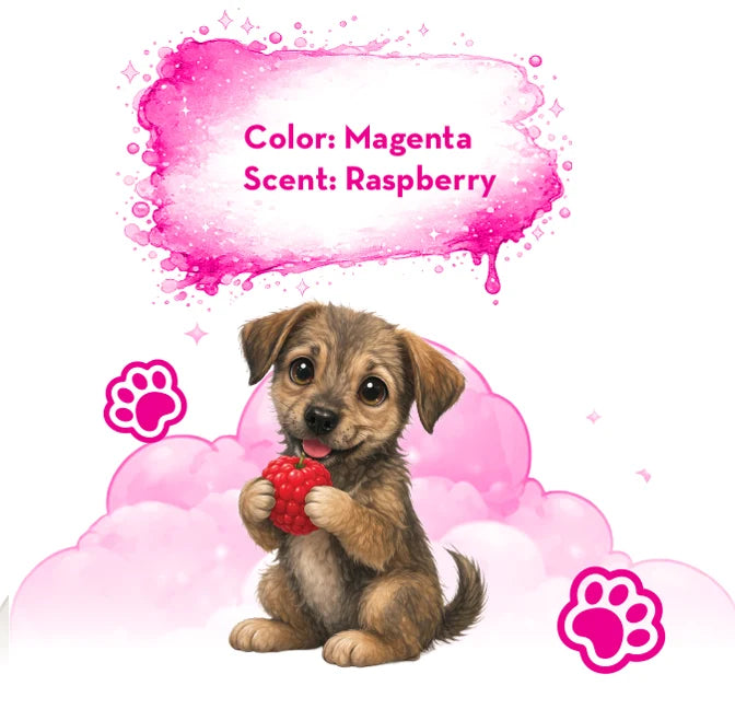Monteverde Paws Scented Ink Gift Set – 10 Pc (30ml)