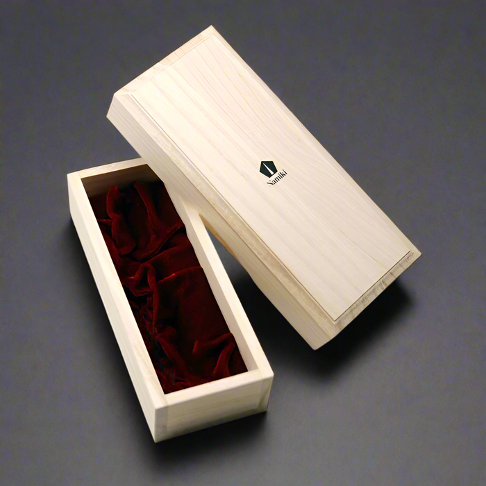 Pilot Namiki Capless (Vanishing Point) Raden Fountain Pen - Minamo - Fine