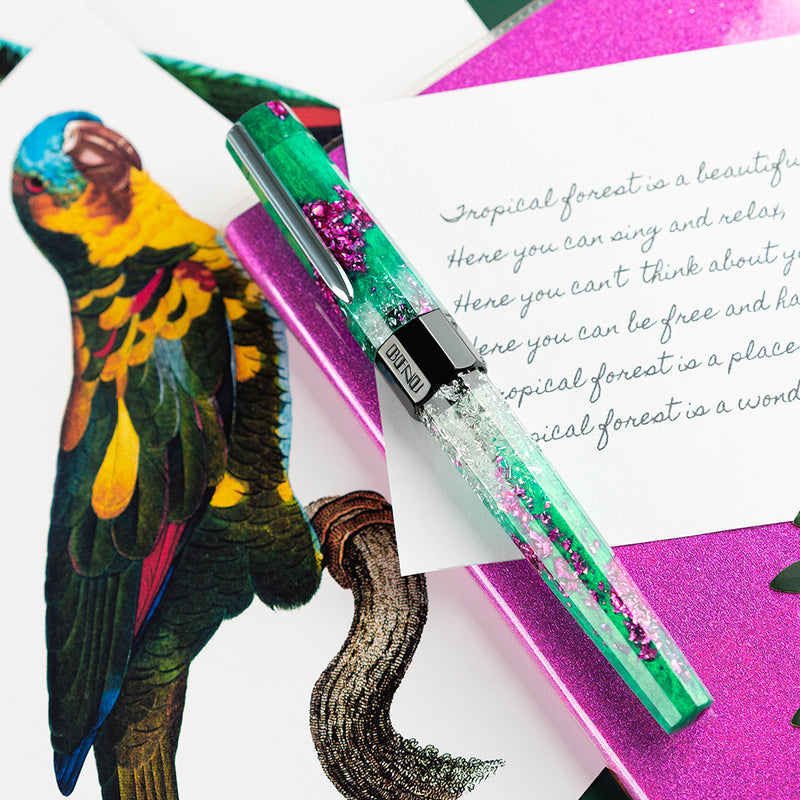 BENU Euphoria Fountain Pen - Pink Guava