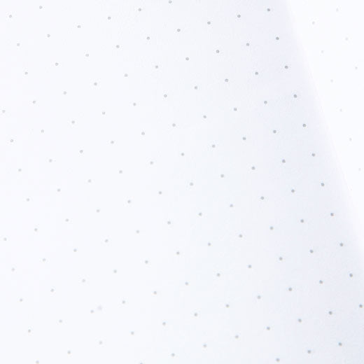 Field Notes Pitch Black Dot Graphed Large Notebook (2)