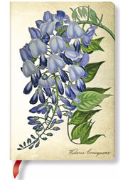 Paperblanks Painted Botanicals Weeping Wisteria Mini Lined Journal