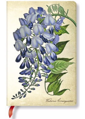 Paperblanks Painted Botanicals Weeping Wisteria Mini Unlined Journal