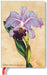 Paperblanks Painted Botanicals Brazilian Orchids Mini Unlined Journal