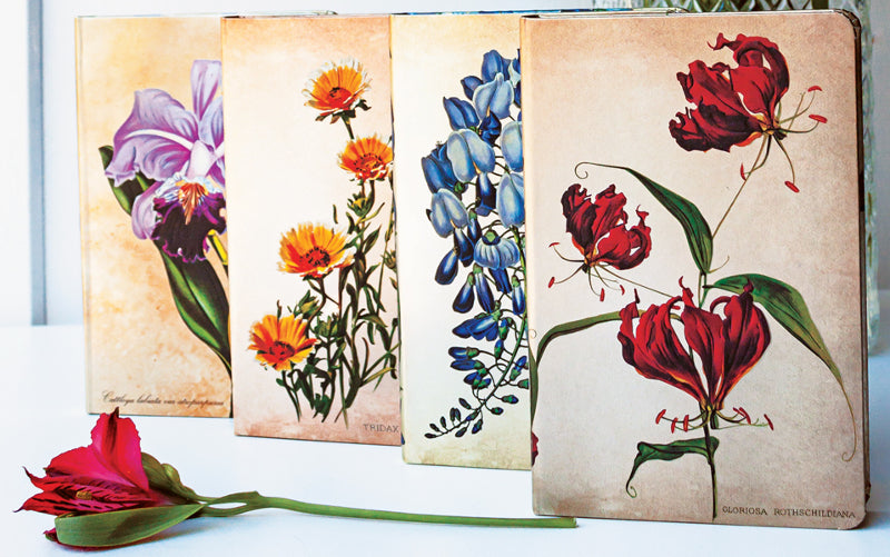 Paperblanks Painted Botanicals Gloriosa Mini Lined Journal