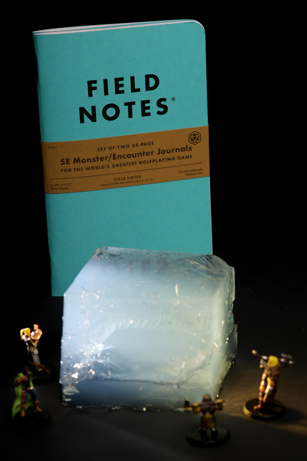Field Notes 5E Monster / Encounter  Journals - 2 Pack