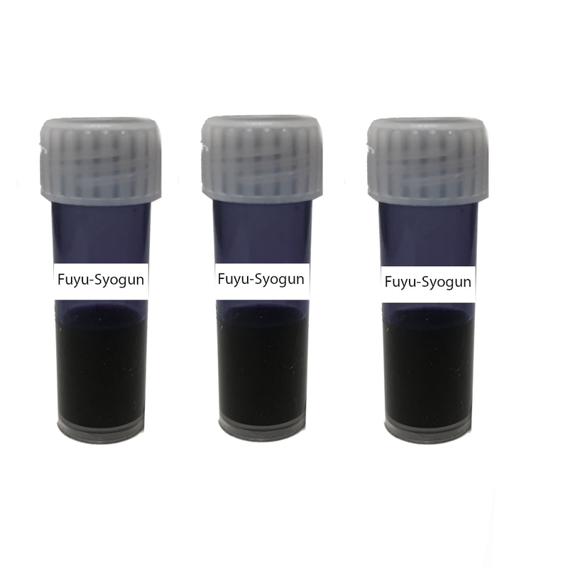 Pilot Iroshizuku Fuyu-syogun Ink - 2ml Sample