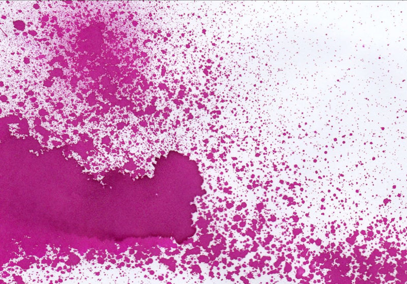 Noodler's Cactus Fruit Eel Ink - 88ml