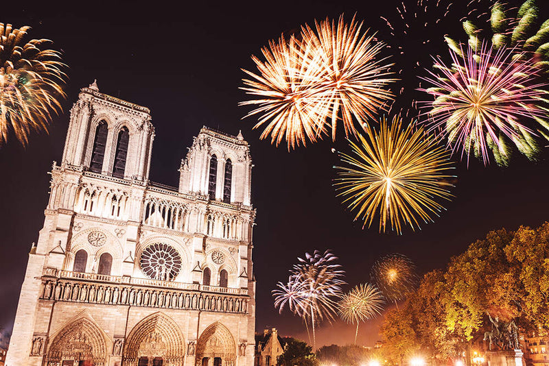 Paperblanks Fire Flowers Mini Journal - Lined