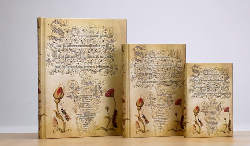 Paperblanks Flemish Rose Midi Journal - Lined