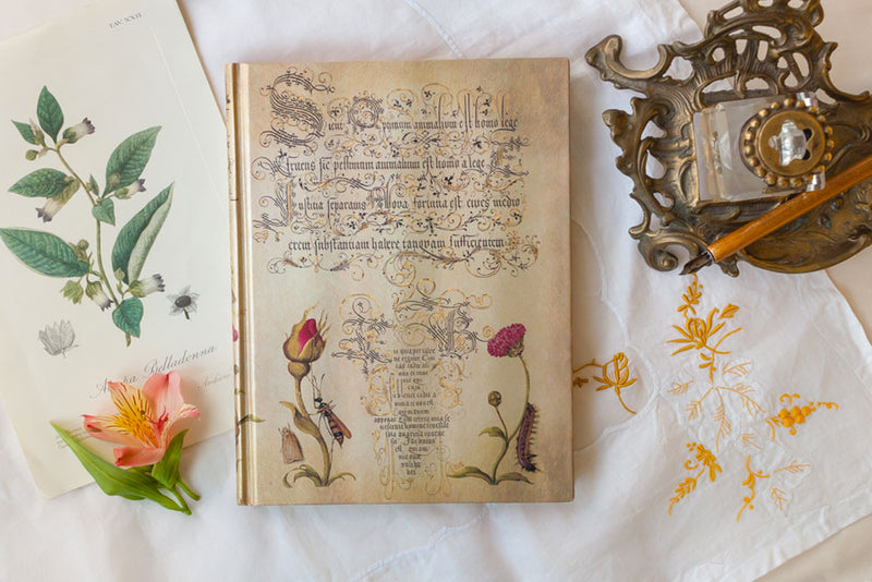 Paperblanks Flemish Rose Midi Journal - Lined
