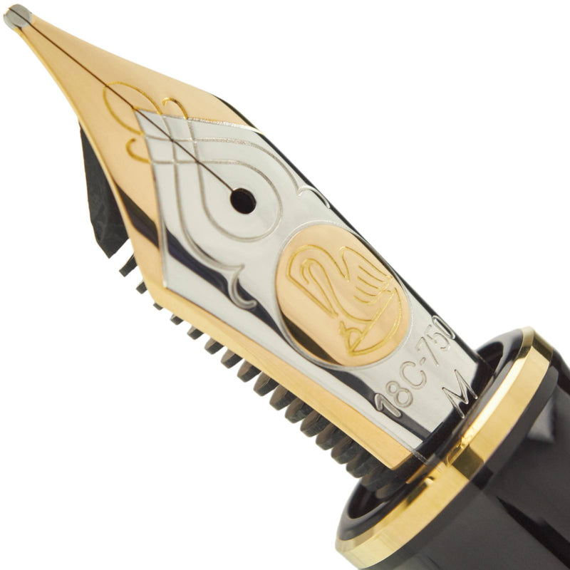 Pelikan M900 Fountain Pen - Toledo Black Fine