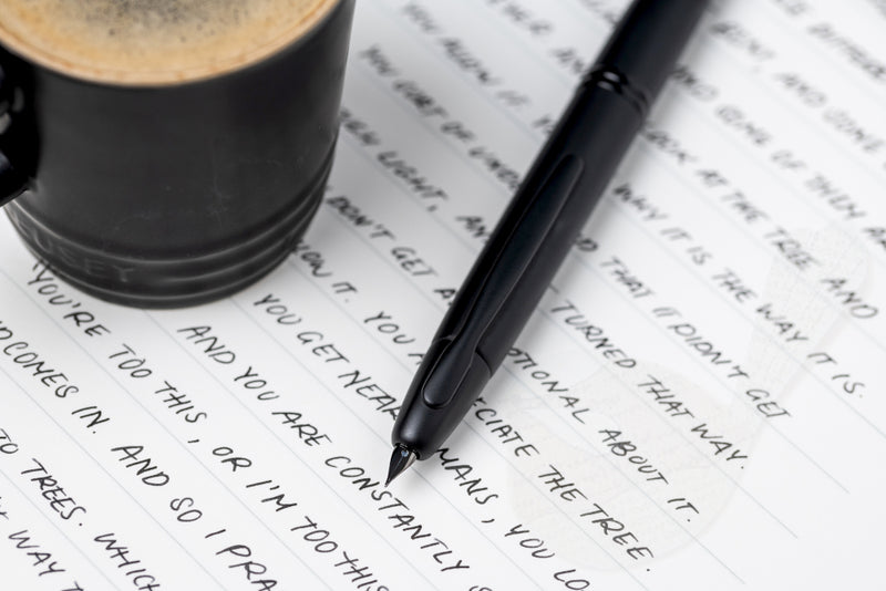 Pilot Capless (Vanishing Point) Matte Black Fountain Pen - Extra Fine