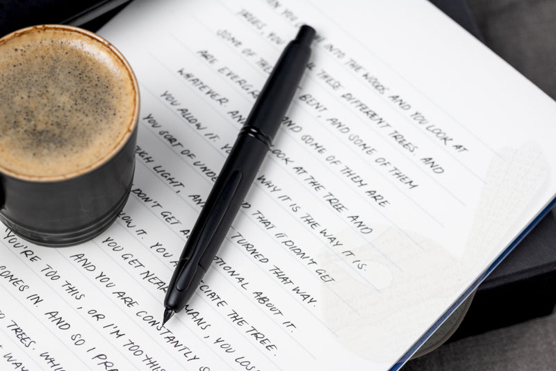 Pilot Capless (Vanishing Point) Matte Black Fountain Pen - Fine