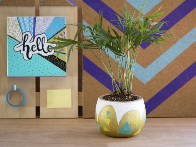 Pilot Pintor Paint Marker - Silver Broad