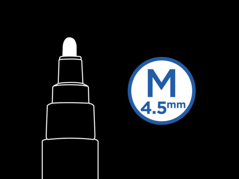 Pilot Pintor Paint Marker - Black Medium