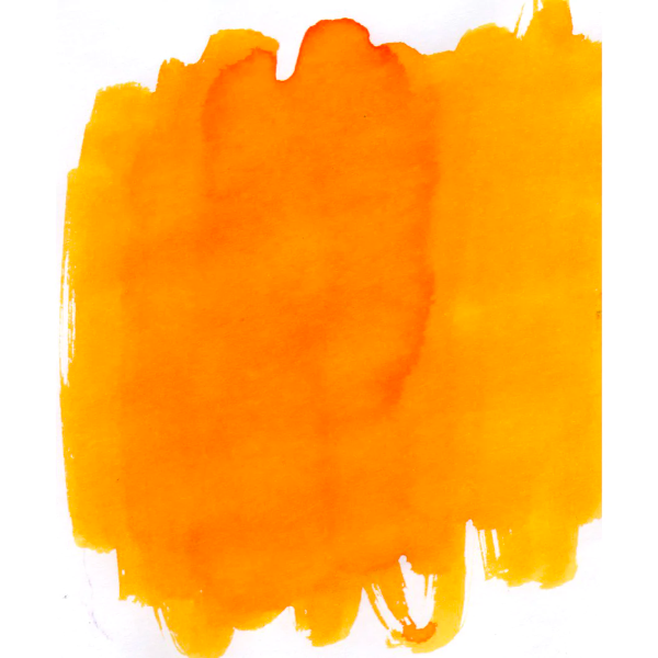 Van Dieman's Tasmania Ink - Wattle - 30ml
