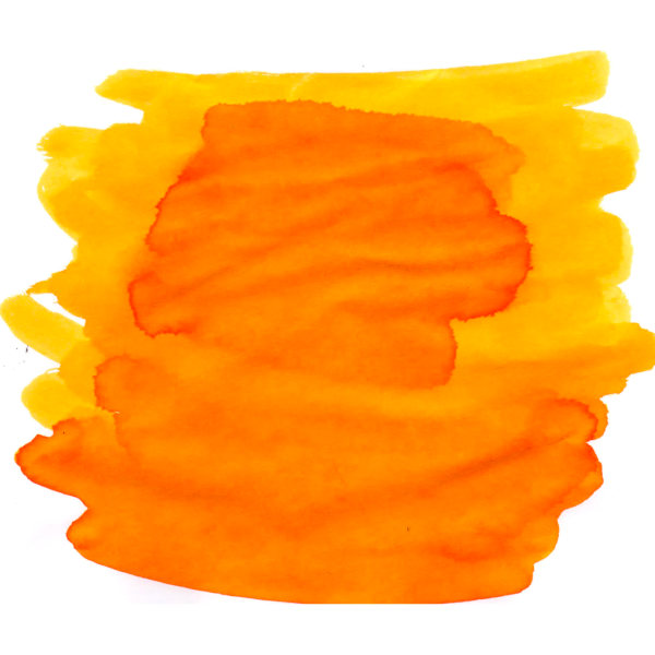 Van Dieman's Tasmania Ink - Wattle - 30ml