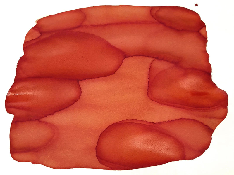 Van Dieman's Fountain Pen Ink - Tassie Seasons (Summer) Tassie Salmon