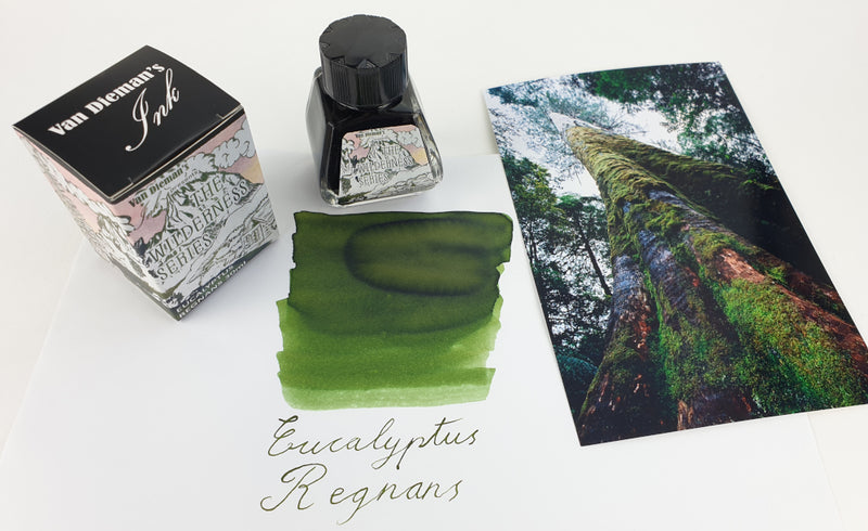 Van Dieman's Wilderness Fountain Pen Ink - Eucalyptus Regnans